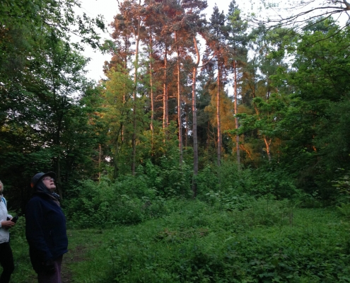 abberley-03